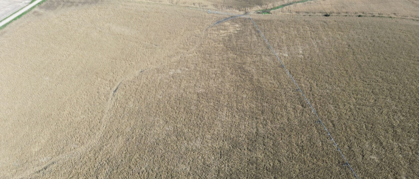 Dji fly 20261019 150358 756 1792440271508 photo optimized