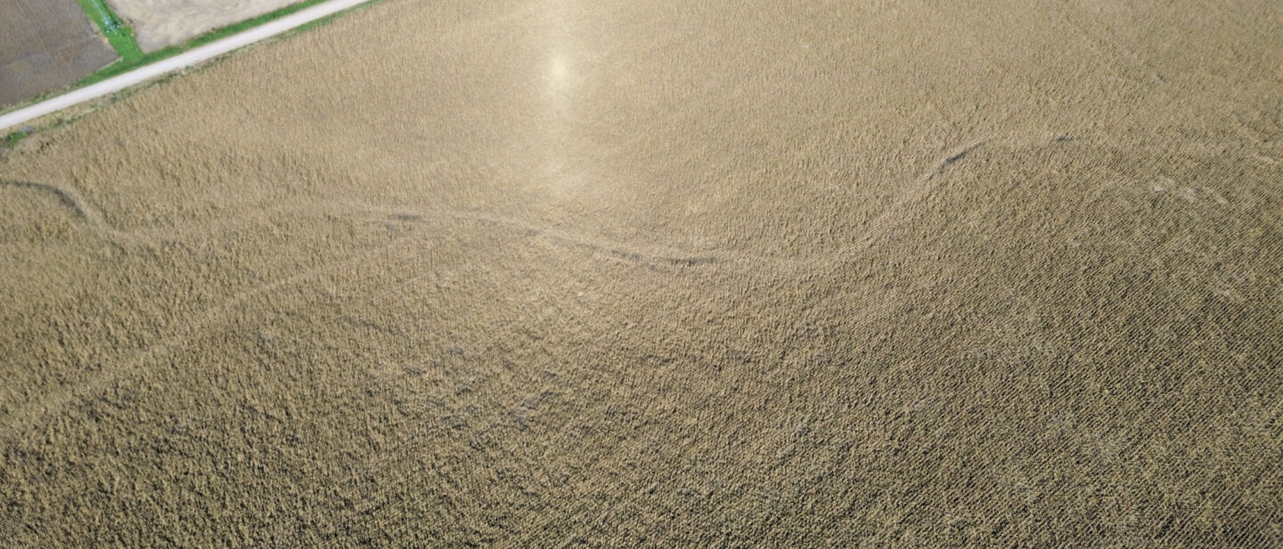Dji fly 20261019 150402 757 1792440275082 photo optimized