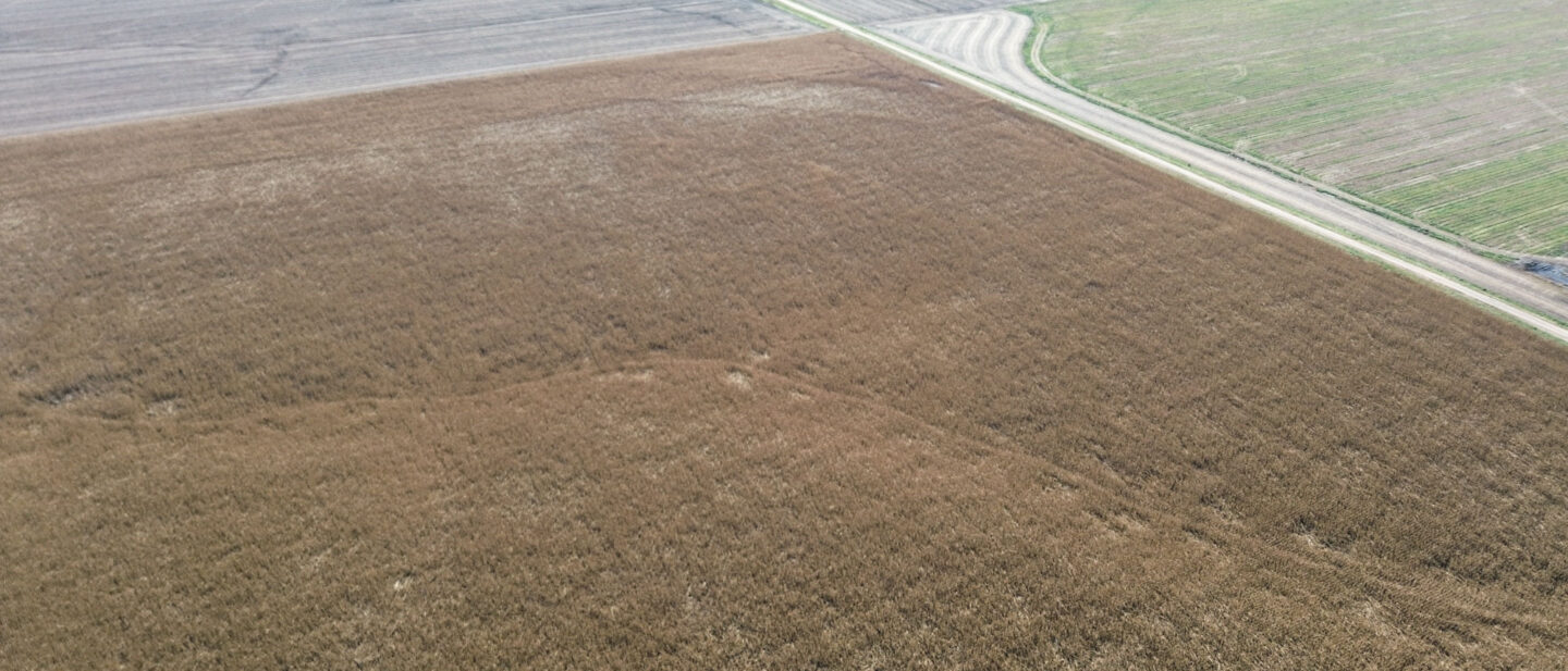 Dji fly 20261019 150422 759 1792440279242 photo optimized