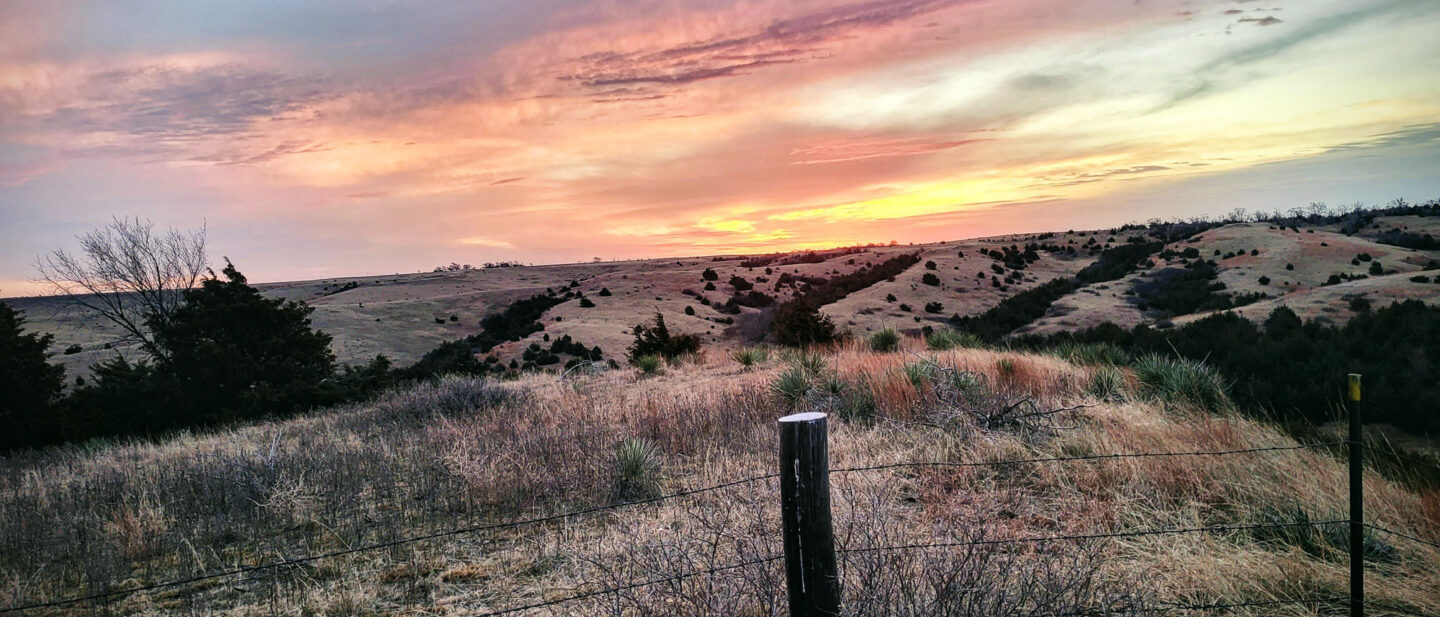 E2d5fea0 a457 4174 b996 1f486b948463 1 all 3359