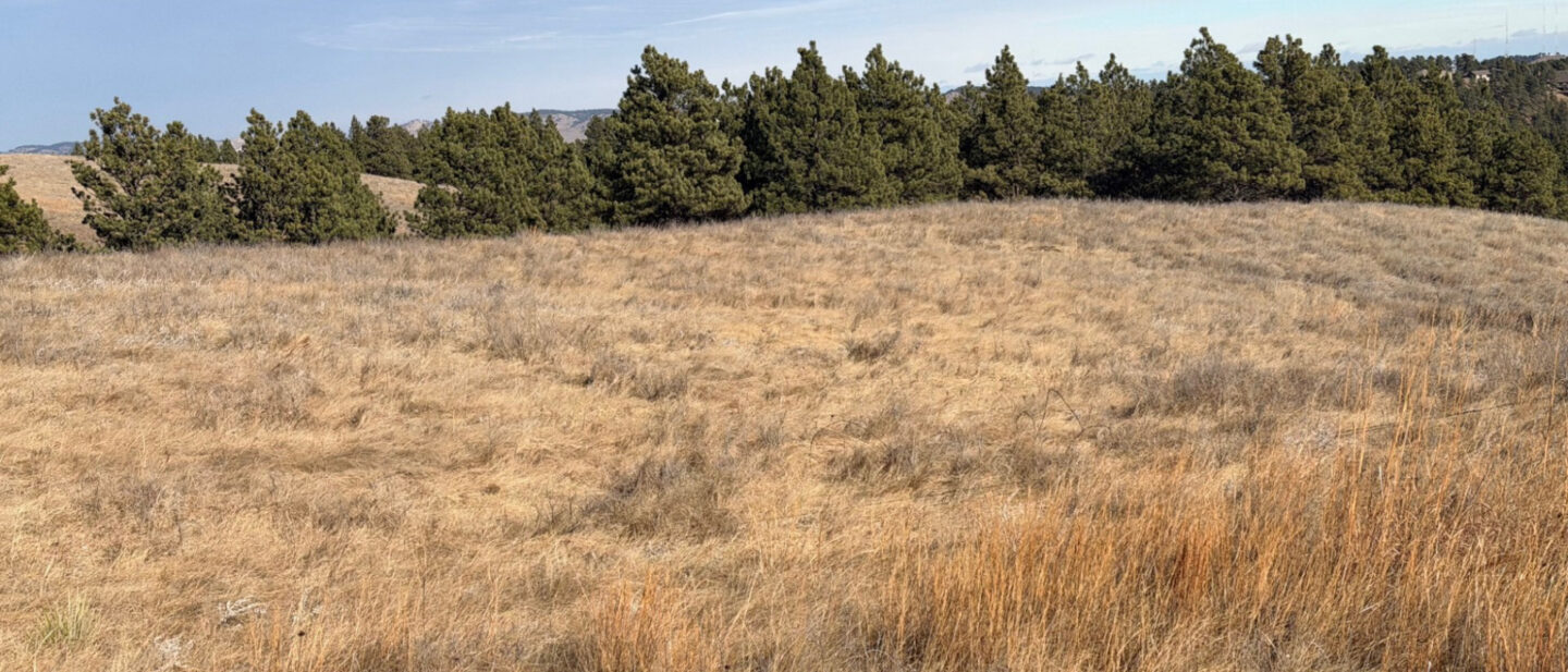 Edec08f2 4a21 4542 841a 1f1d76b296ca