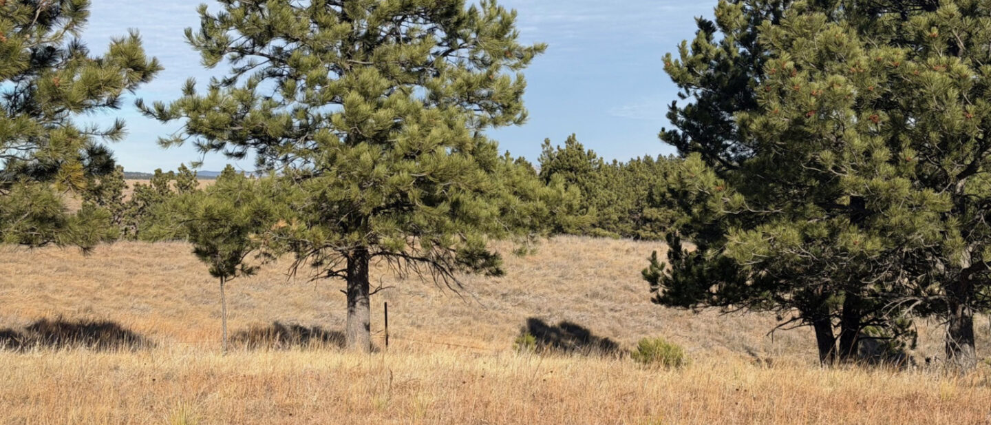 Fd8004f8 1c42 43ce 92b8 1581c511e68b