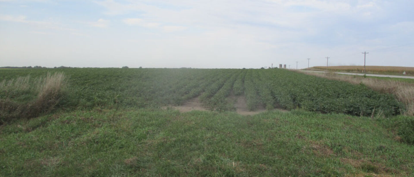 Field entrance onto 150th Street at southeast corner of property