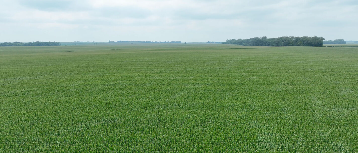 Field
