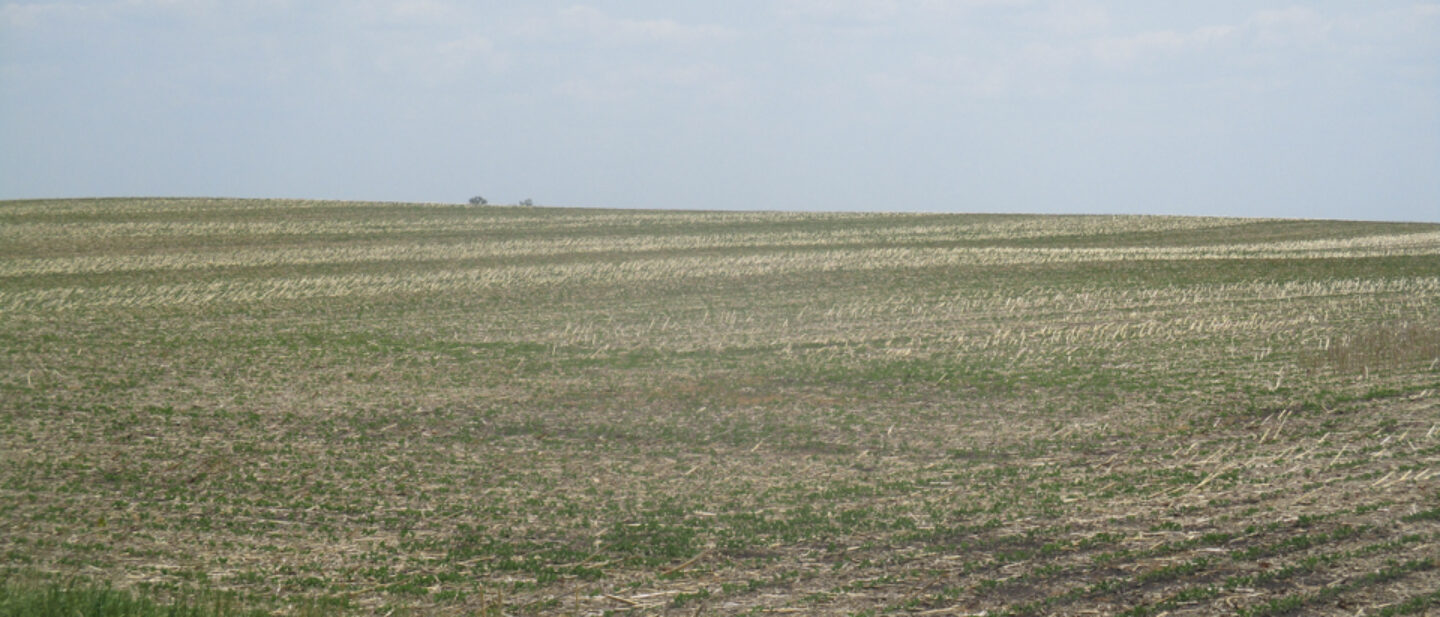 From NW looking to SE