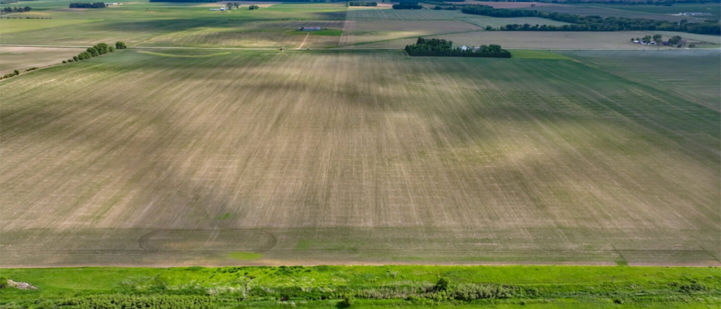 From approx division line between tracts looking south