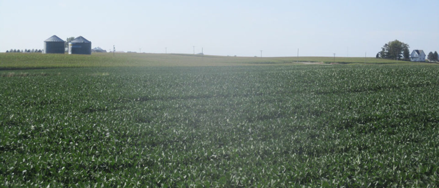 Gently rolling highly productive cropland