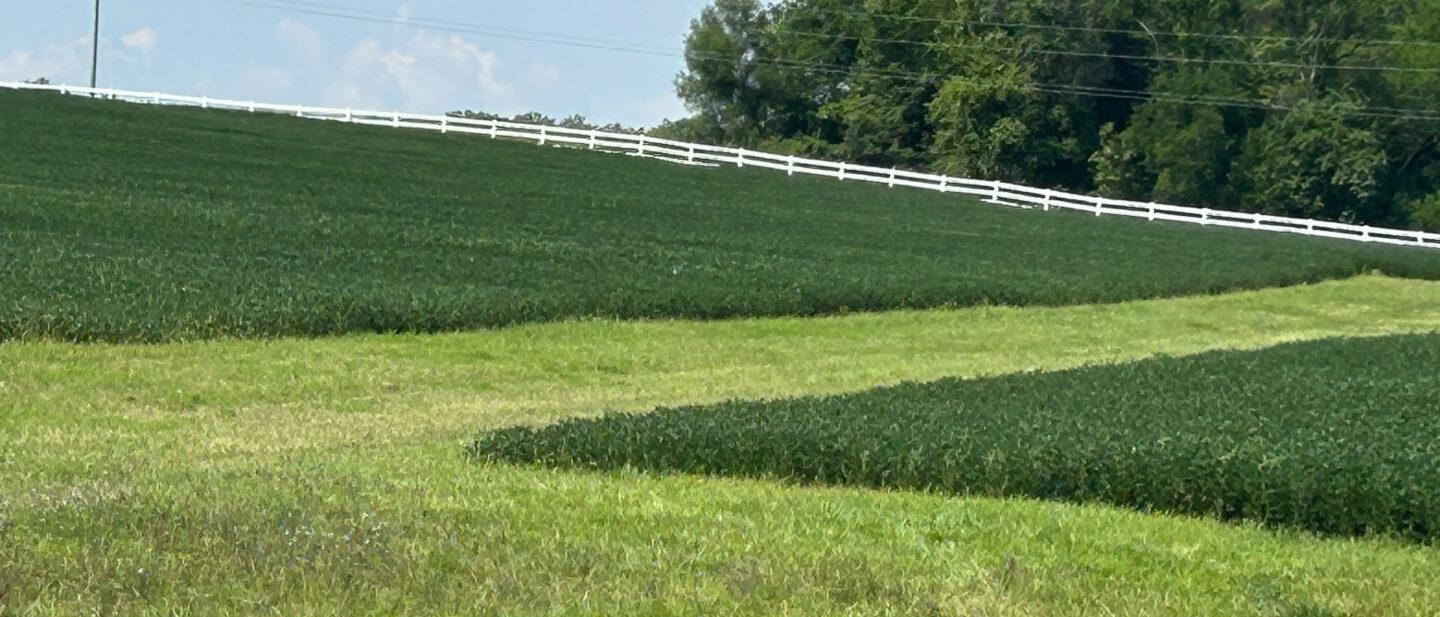 Grass waterway
