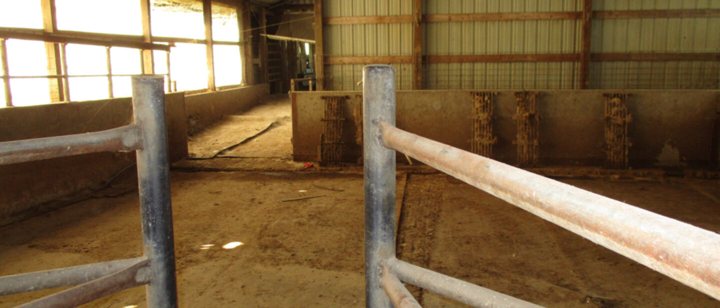 Holding area for old milking parlor