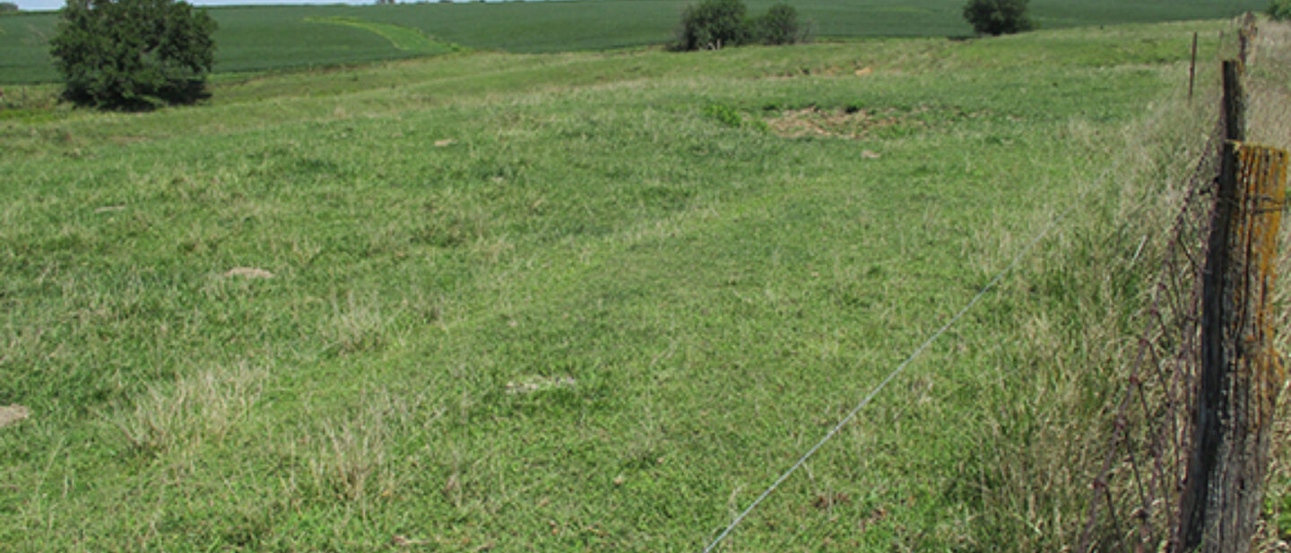 L 1900623 Tract 2 pasture