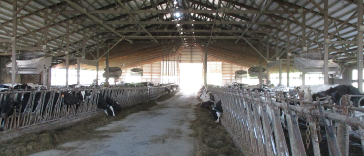 Loafing barn