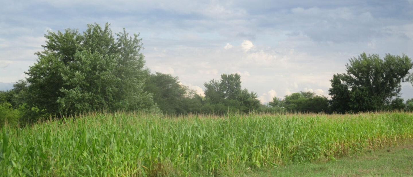 North plot at east side of center field of CRP