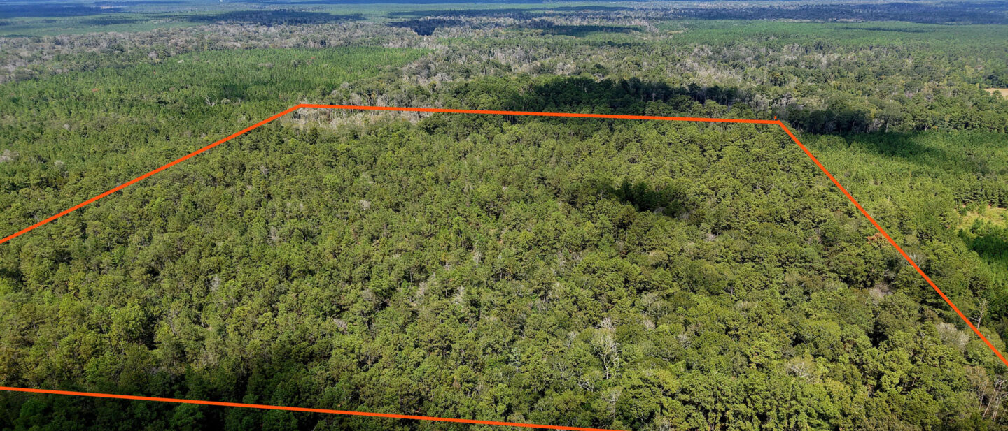 Overhead boundary