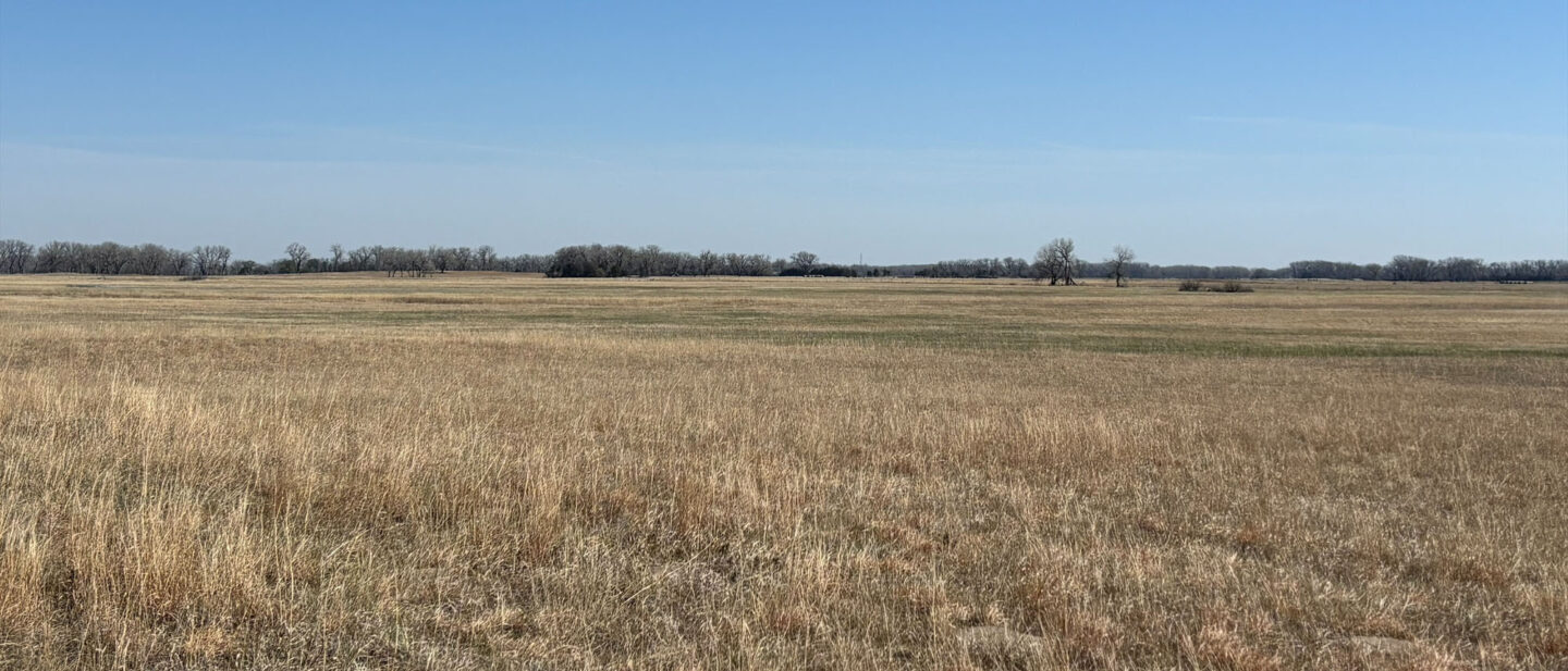 Processed 3 C75 FF07 8 FCF 4 EC2 AA8 D 5 AB7 A18 D2 FCD