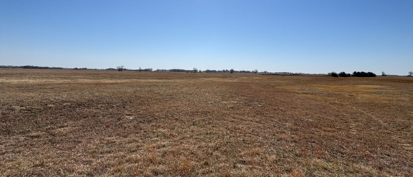 Processed 509 AEC0 B 7446 4 FF8 898 D 277 B5 B444 B68