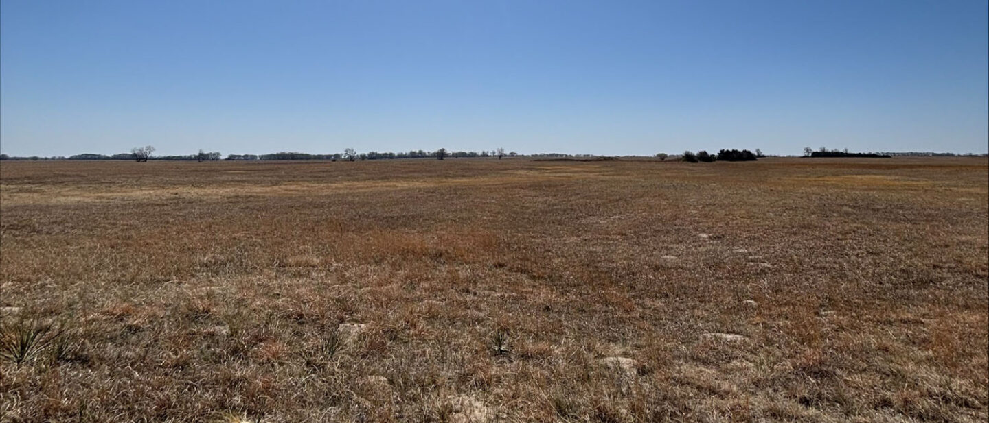 Processed 59 E47 CA4 0497 424 E B4 E0 BF11 ADC99 DDC