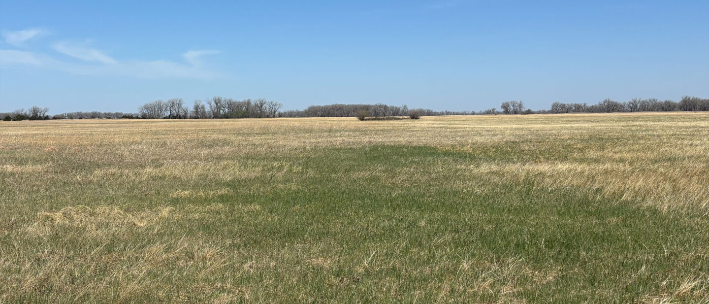 Processed 733261 DD 0 D74 4064 9 EED 8 B247 AED9 A02