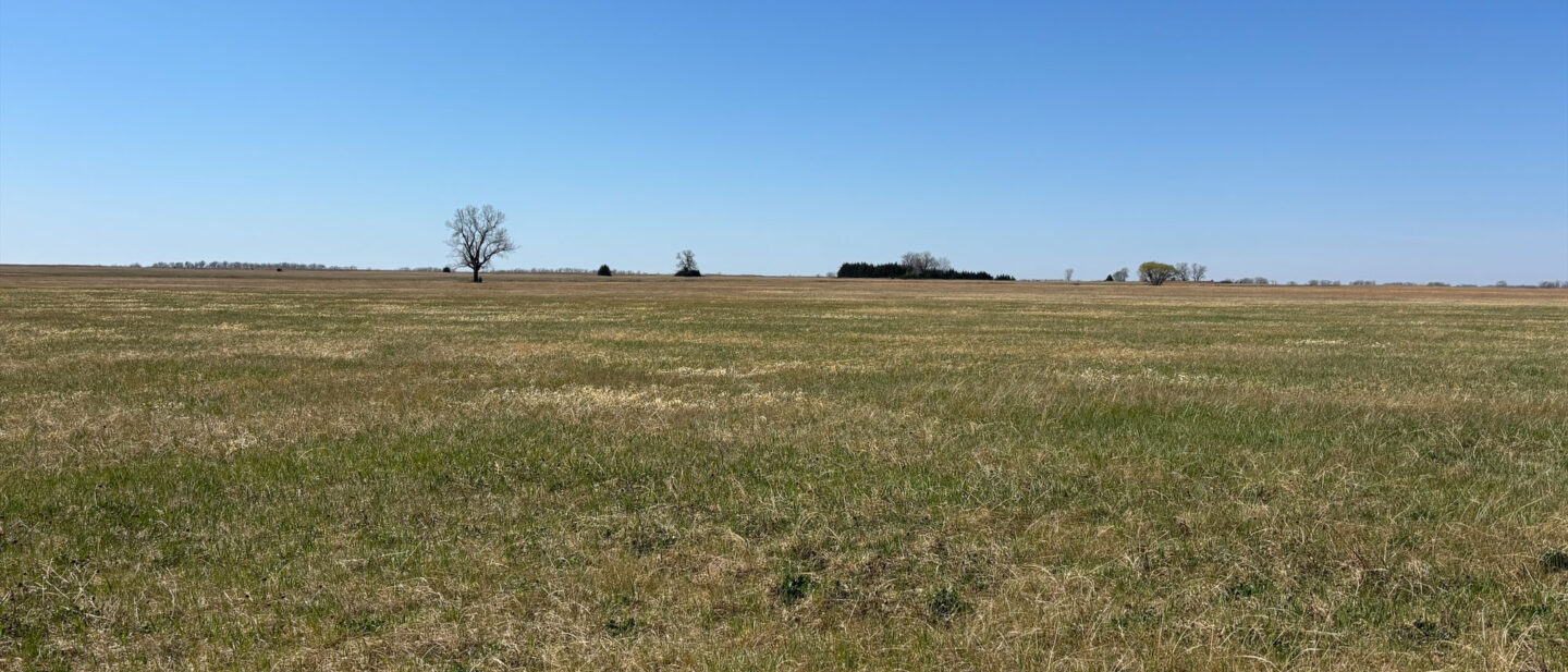 Processed 984 F2 DAB 69 D2 44 EC A574 DFDDC6 EC1 EB1