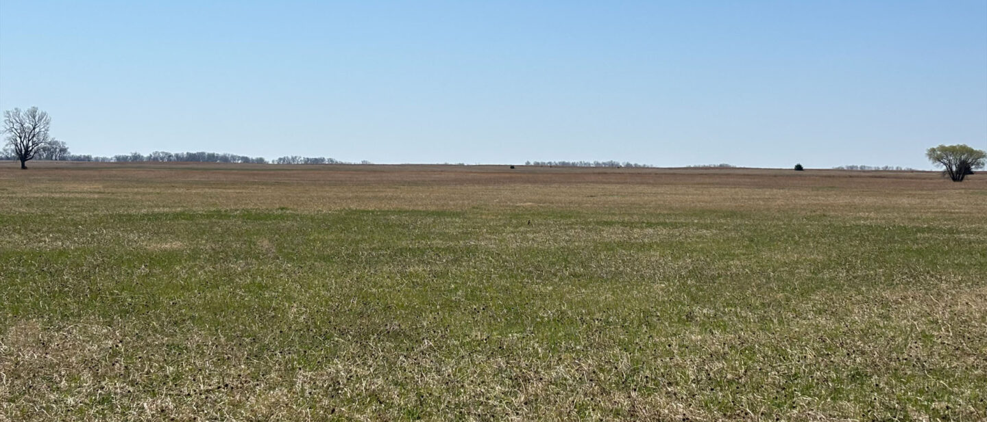 Processed AE5 F0 D8 F EE9 C 4 A1 E AC8 D D10 A9282 A855