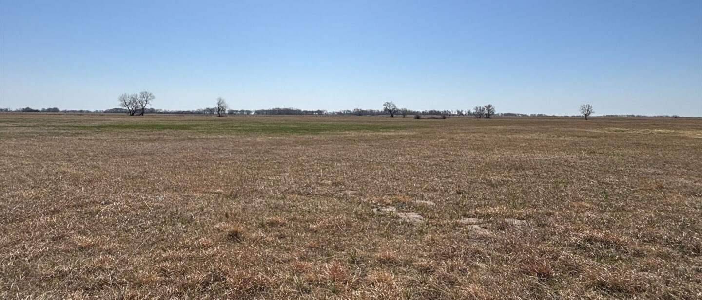 Processed BC2 ACA92 3 B13 4 D8 B BA3 C DB5 B0 D926 ABC