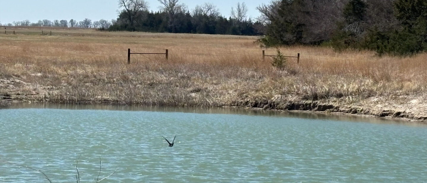 Processed CECD1029 5 C75 4 D99 9 A51 67 C8 B6573 BA5