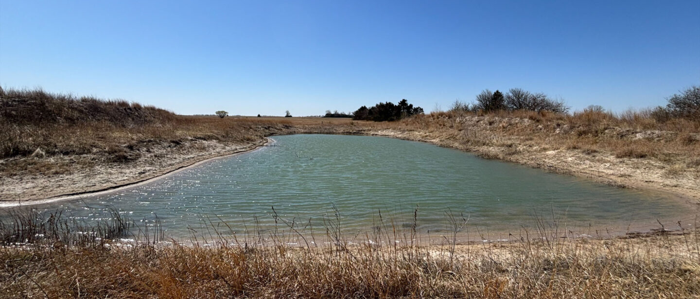 Processed F250 E28 C C227 46 D3 A5 E1 21 AA024 D7 DE8