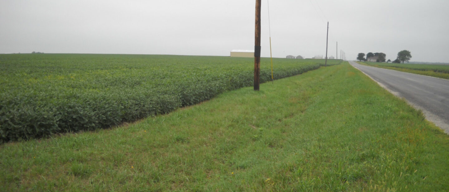 Road frontage and field