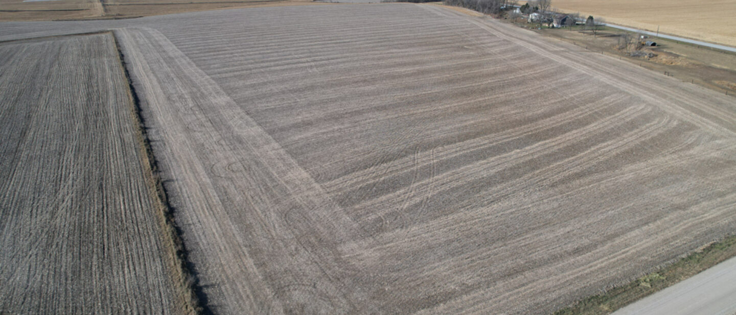 Soybean field view 2