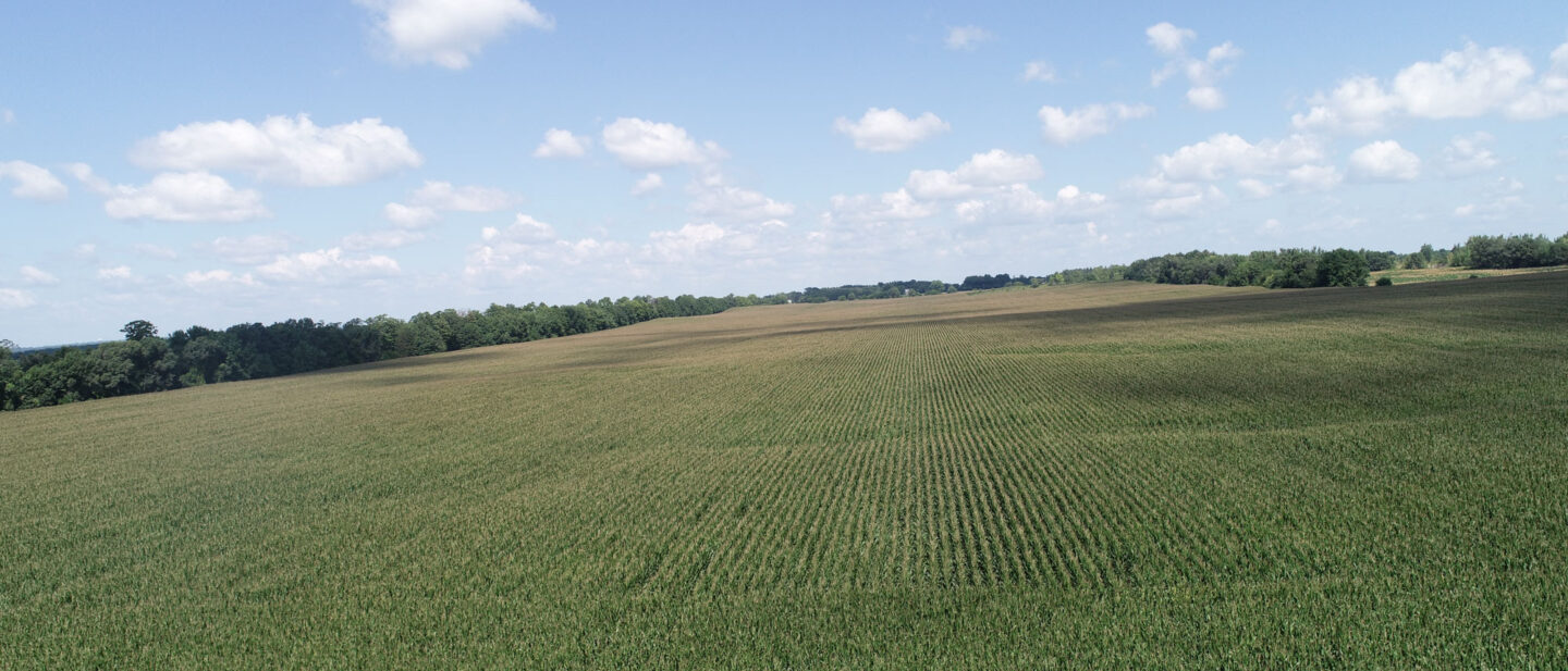 Tract 4 south drone