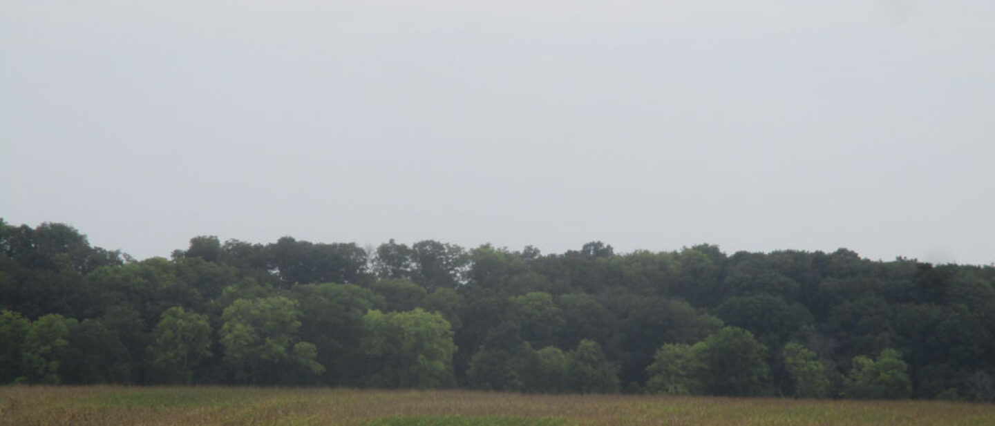 Trees line the Boone River near the south end of the Metcalf Farm