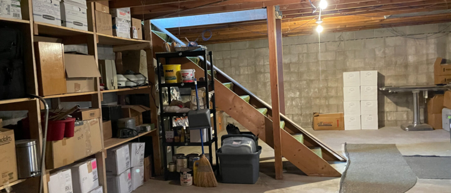 Vet basement