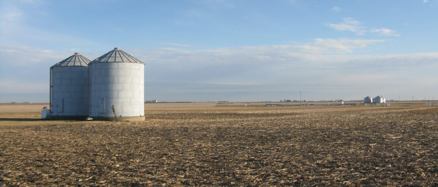 View northwest to southeast Northeast corner of tract