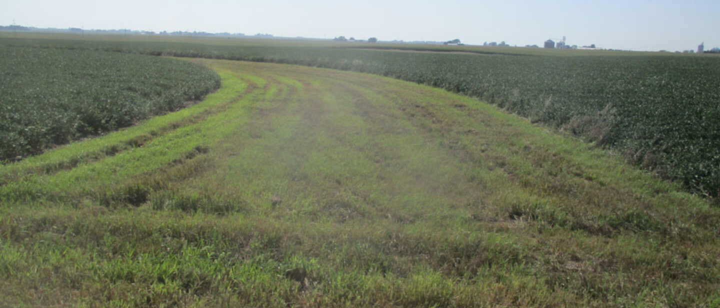 Waterway neatly mowed